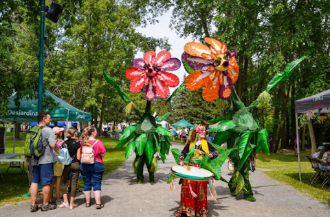 Animation deambulatoire FAV 3