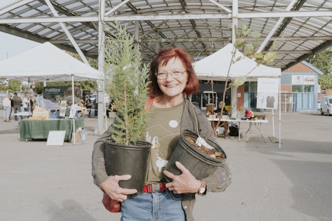 13 distribution darbres Sammy Lee Photography2024