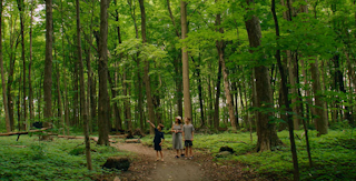 COMM 2021 Parc des Iles Marche Randonnee Boisee Arbre 3