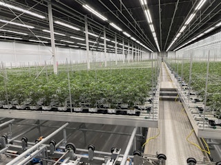 COMM 2021 Cannara Valleyfield Parc industriel et potruaire Perron Cannabis Cinference Inauguration 23