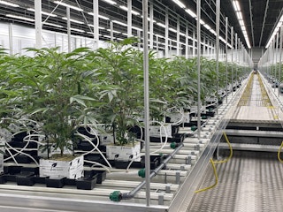 COMM 2021 Cannara Valleyfield Parc industriel et potruaire Perron Cannabis Cinference Inauguration 39