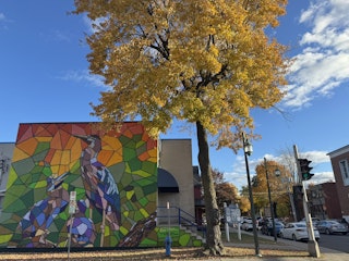 COMM 2024 Herons bosni Rue Champlain 5