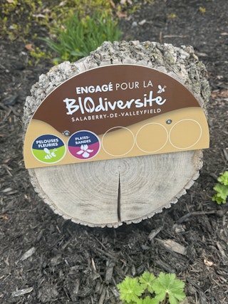 COMM 2025 Biodiversite pelouse fleurie certification 9