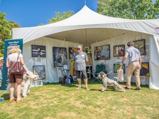 COMM 2025 Festival des arts de Valleyfield 13