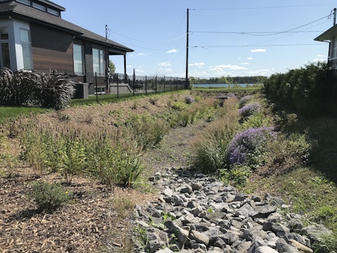 ENV 2022 Fosses urbains entretien Plantes Biodiversite exemple