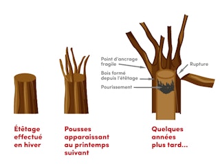 Etetage Bonnes Pratiques illustration