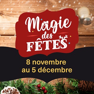 Magie Fetes2025 Carre1