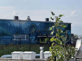 Murale club nautique 2