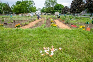 SRC 2017 Cr Deny Cardinal jardins communautaires aines et association 7