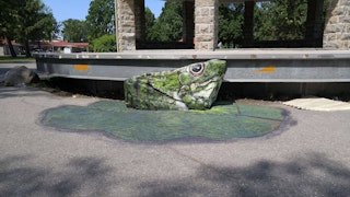 Fresque rotonde parc sauve grenouille