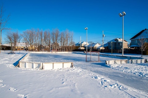 Valleyfield patinoire orchidee