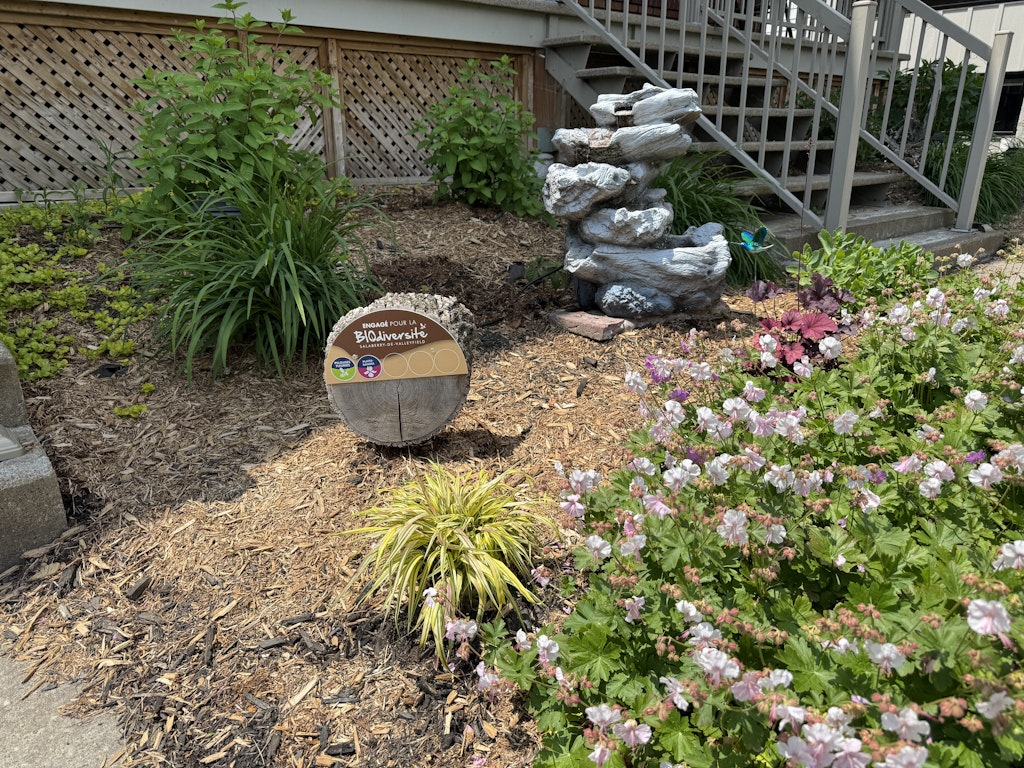 COMM 2025 plantes indigenes 23